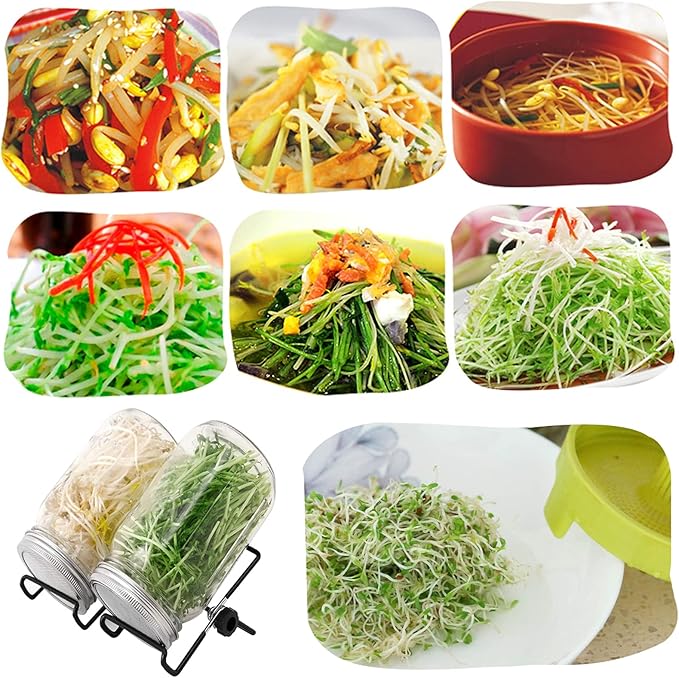 Lulonpon 4 Sprouting Jar Kit, Wide Mouth Quart Mason Jars with Stainless Steel Screen Sprout Lids, 86mm,1000ml,Stand,Tray and Canning Brush,Seed Sprouter Set for Growing Broccoli, Alfalfa