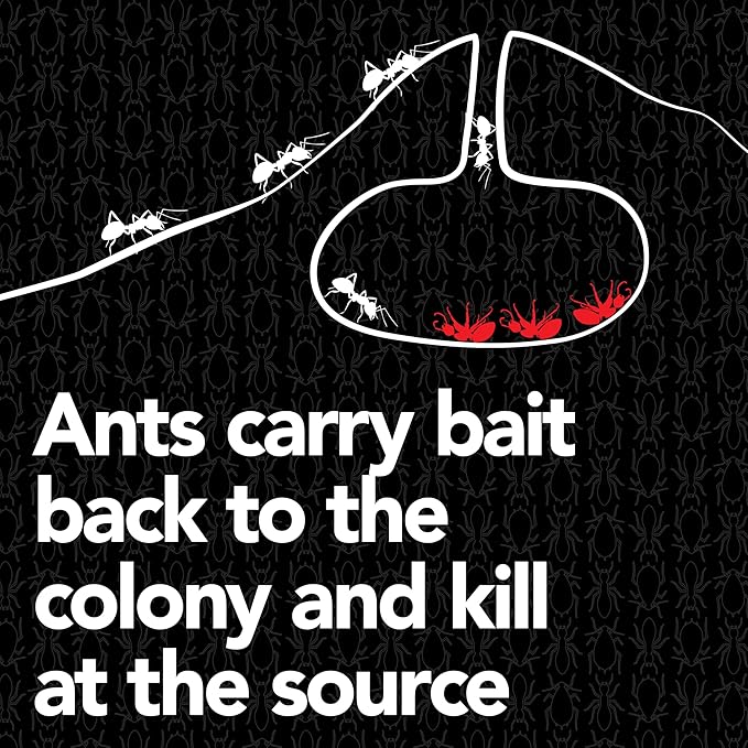 Raid Max Liquid Ant Bait; Kills Ants Where They Breed, for Indoor and Outdoor Use; 4 Bait Stations