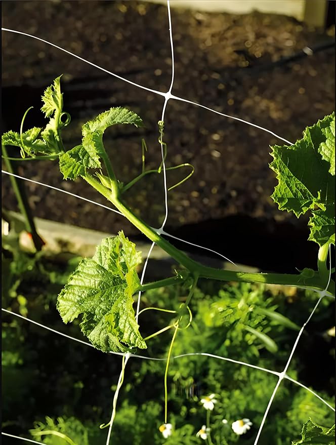 Trellis Netting, Aaamazing Netting, Scrog Net, Trellis Net, 4ft x 4920ft Roll, for Climbing Plants, Cut Flower Support, Garden, Grow Pea, Bean, Grape Vine, Mesh, Heavy Duty, 6x6 Inch Squares
