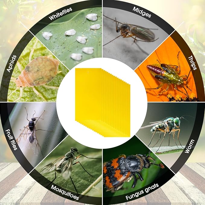 550 Pcs 7.9 x 4 Inch Sticky Traps for Plant Gnats Double Sided Sticky Traps with Twist Ties for Flying Killer Insect Indoor Outdoor Fungus Gnats, Whiteflies, Aphids (Yellow)