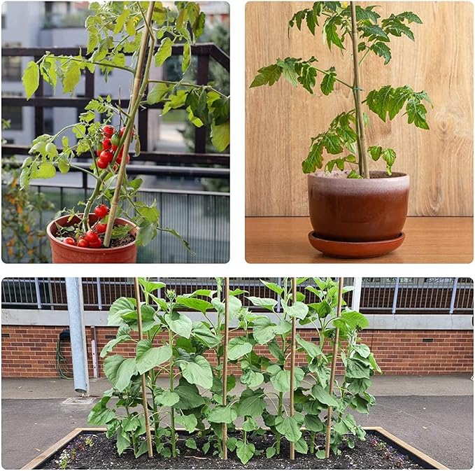 25pcs 1/2" D Thicker Heavy Duty Bamboo Stakes, 4FT Plant Stakes, Natural Garden Stakes for Tomato, Bean, Flowers,Trees Potted and Climbing Plant Support