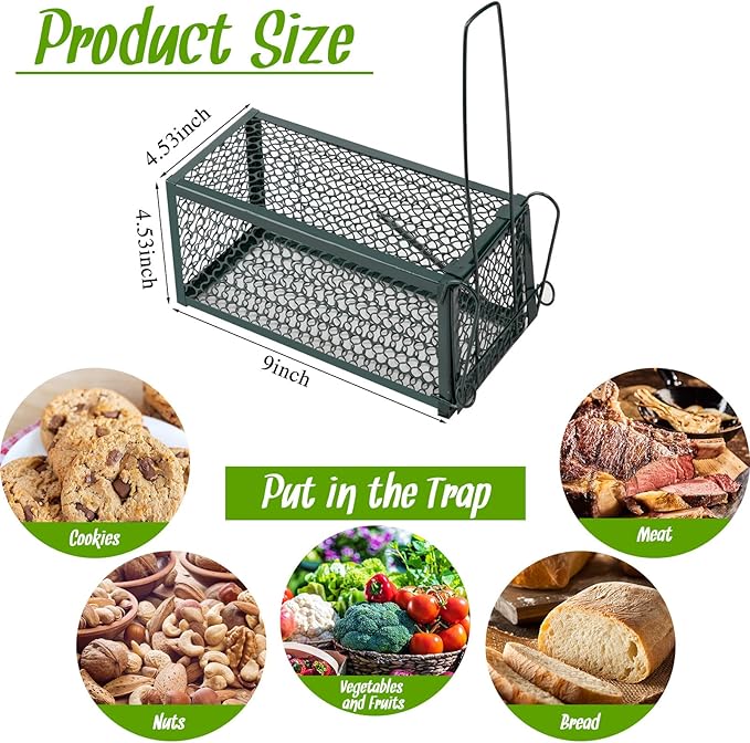 Qualirey 2 Pcs Humane Rat Trap Chipmunk Rodent Mouse Squirrel Trap Small Live Animal Mouse Voles Hamsters Live Cage Rat Mouse Cage for Mice Easy to Catch and Release (Green)