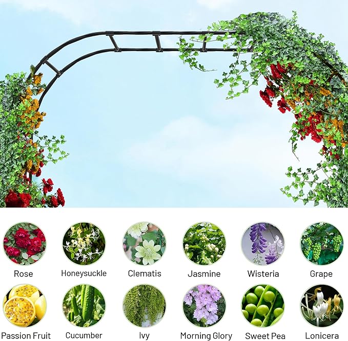 Twira Garden Arch Trellis, 7.9FT(240cm) Metal Garden Arbor Trellis for Climbing Plants Outdoor, Large Wedding Arch for Ceremony, Black Archway Trellises Decoration for Lawn, Patio, Backyard