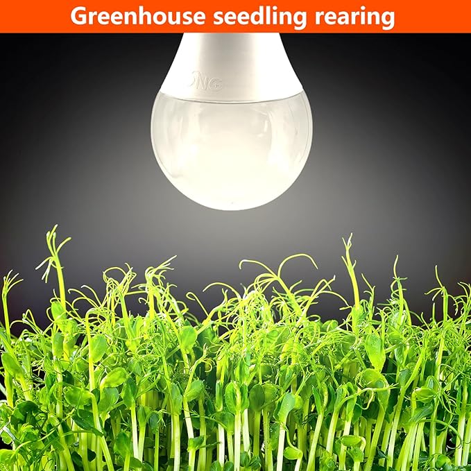 A25 LED Grow Light Bulb - 15W (150W Equivalent), Full Spectrum, E26 Base for Indoor and Outdoor Plants - Plus Size Bulb (6-Pack)