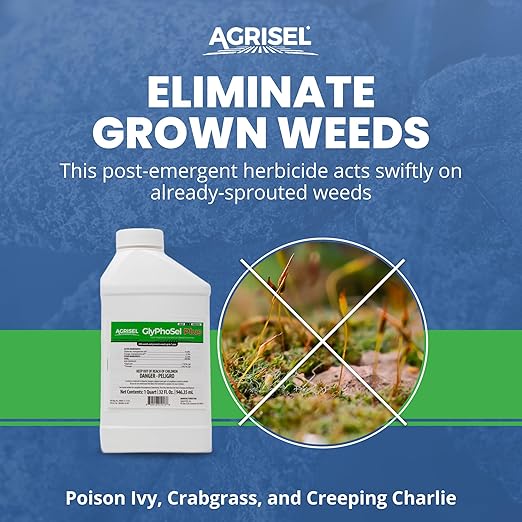 GlyPhoSel Plus Weed Killer, Post Emergent, Long-Lasting Action, Eliminates Tough Weeds from Leaf to Root, for Non-Crop Areas, Includes 3-Pack of Agrisel Protective Gloves, 32 Ounces