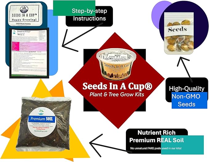 Seeds In A Cup® Sugar Maple Tree Grow Kit – Indoor/Outdoor Seed Starter, Grow Your Own Maple Tree from Seed, Educational Gift for Kids & Adults, Easy Planting Kit