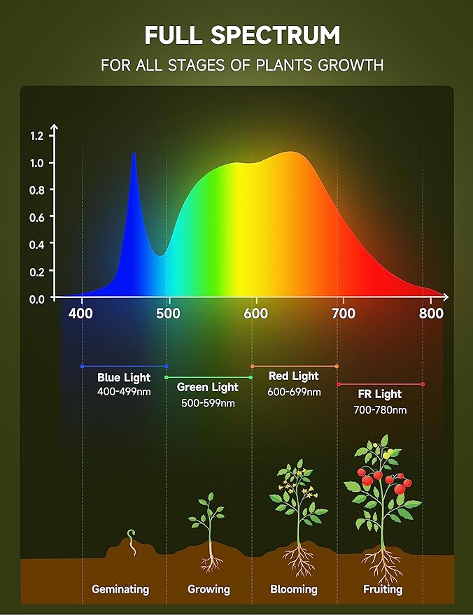 Grow Light Bulbs, Full Spectrum Light Bulb, A19 Grow Light Bulb, Plant Grow Light Bulbs E26 Base, 9W Plant Light Bulbs 100W Equivalent, Grow Bulb for Indoor Plants, Greenhouse, 3 Pack