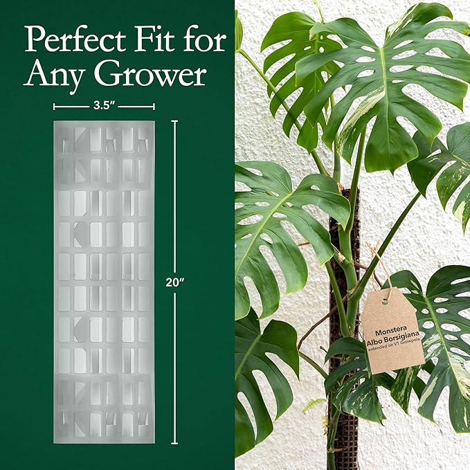 V2 Large GrowPole - Stackable Plastic Moss Poles for Climbing Plants, Monstera Plant Support-Plant Climbing Pole, DIY Plant Stick Support, Works for Philodendron and Anthuriums - 5 Pcs