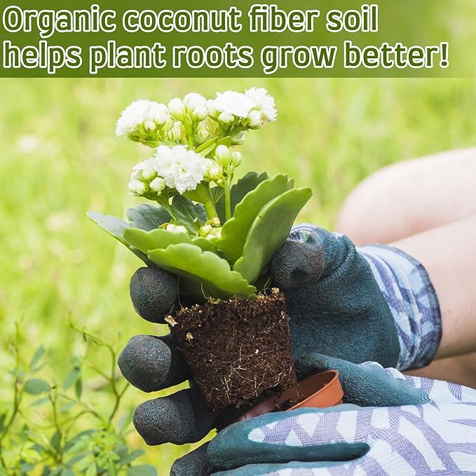 Halatool 100pcs 30mm Organic Coconut Coir Pellets Soil for Seed Starter, Compressed Coco Coir Potting Soil for Growing Vegetables, Fruits, Flowers