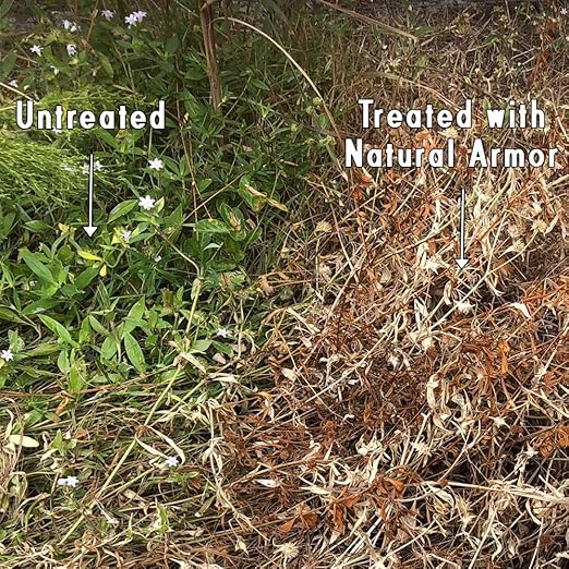 Natural Armor Weed and Grass Killer All-Natural Concentrated Formula. Contains No Glyphosate (320 OZ. 2.5 Gallon)