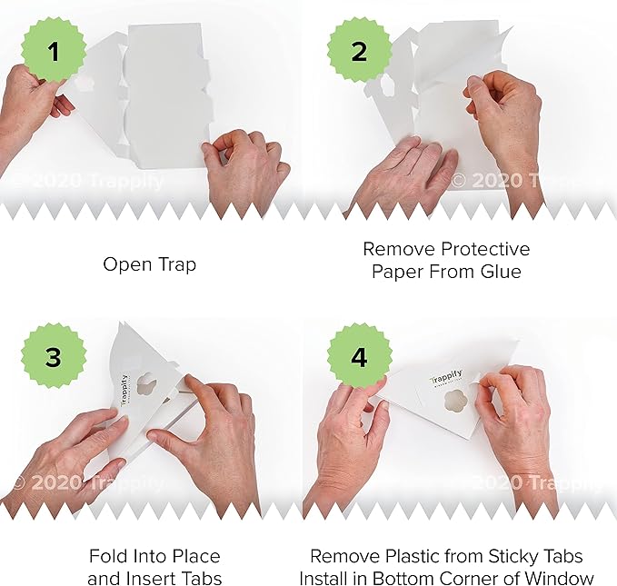 Trappify Fly Trap Indoor: Window Fly Traps for Home | Fruit Fly Traps for Indoors, Gnat Traps for House Indoor | Disposable Fly Trap with Sticky Adhesive Strips | Inside Bug Catchers (4 Pack)