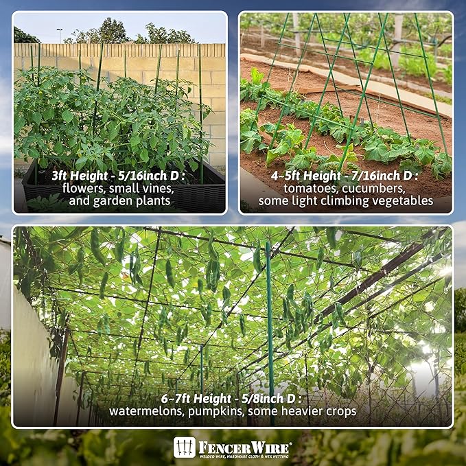 Fencer Wire 25 Pack of 6ft / 72 Inch Durable Metal Plant Supports Garden Stakes, Plant Stakes, Garden Poles for Outdoor & Indoor, Plant Support and Sticks for Tomato, Potted Plants, Beans, Cucumbers