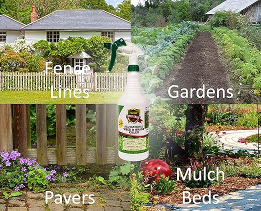 Natural Armor Weed and Grass Killer All-Natural Concentrated Formula. Contains No Glyphosate (128 OZ. Gallon)