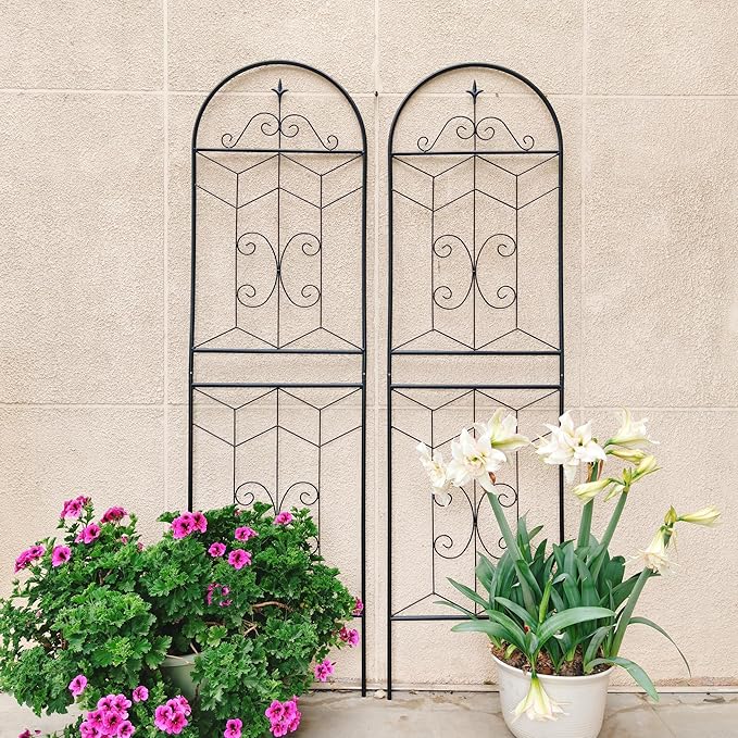 2 Pack 71x20in Garden Trellises with Black Metal Coating, Trellis for Climbing Plants Outdoor, Roses, Vines, Flowers, and Vegetables.