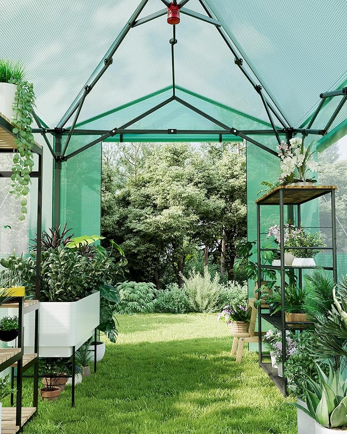 6X8 FT Portable Greenhouse for Outdoor,182 x 243 CM Wall in Pop Up Greenhouse for Gardening Plant, Zipper Roll Up Door & 4 Mesh Window, Double Frame, PE Cover Grow Tent for Winter, Green