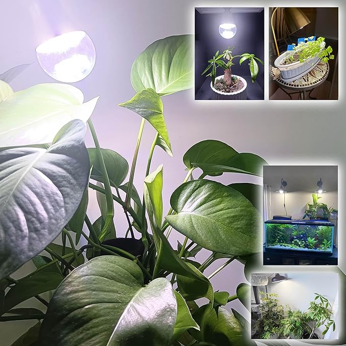 Full Spectrum Small Base E12 Candelabra Plant Grow Light Bulbs,Red Blue Yellow 5000K White Plant Growing Lamp Bulbs 10W with Balanced Spectrum for Indoor Seeds Greens Laboratory,School,Greenhouse,2Pcs
