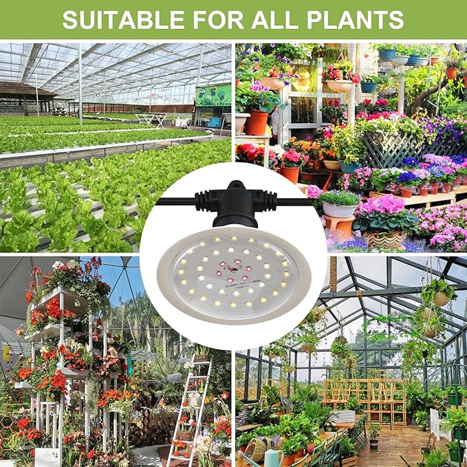Outdoor Grow Lights for Plants, Full Spectrum Greenhouse Grow Light, UL Certified Daisy-Chain String Grow Lights, IP44 Waterproof, 42FT Adjustable Cord, for Vegetables, Seedlings, Flowers (12 Lights)
