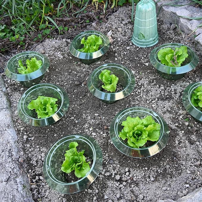 6 Pack Slug Collars for Plants,Medium-Sized Snail Protection Ring, Provides Effective Protection Against Snails for Your Salad Plants and Others Plants.