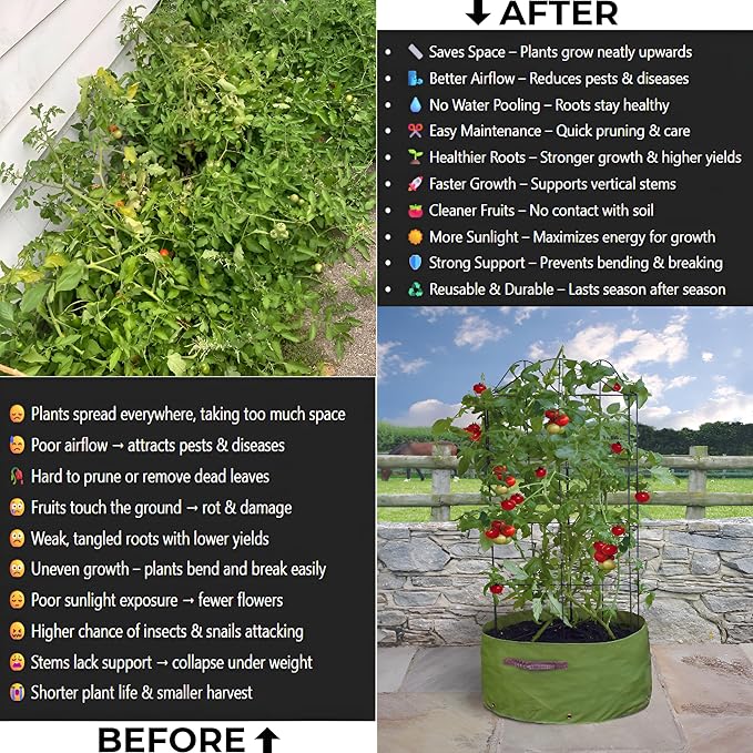 Tomato Cage β Trellis for Climbing Plants - Adjustable Plant Support Stakes, Monstera, Cucumber β Indoor/Outdoor, Tool-Free, Recycled Materials, Fits Greenhouse/Raised Beds (85cm x 22cm)