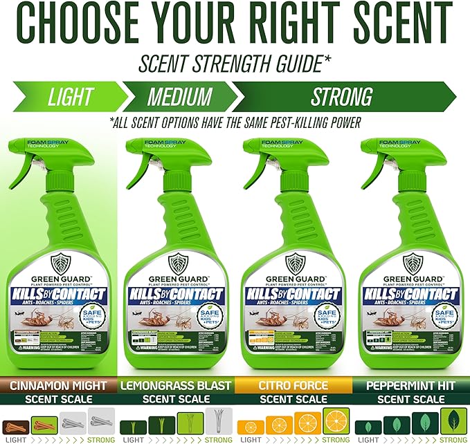 Green Guard Pest Control Spray - Indoor & Outdoor Killer of Ants, Roaches, Spiders & Other Crawling Insects, Safe Around Children & Pets, Plant-Based, Pleasant Scent (Cinnamon Might, 16oz)