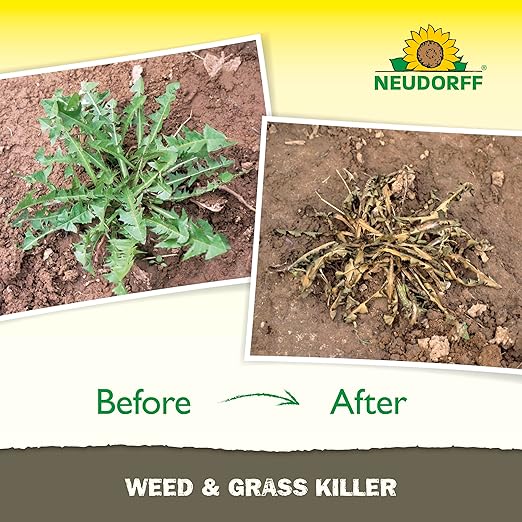 Weed and Grass Killer, See Results in 1 Hour: Kills Weeds – Roots and All, Fast Acting Brush and Vine Killer with Non-staining Formula; Rainfast in 3 Hours Ready-to-Use Spray (32 oz).