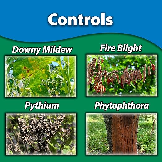 Monterey (LG3307) -Garden Phos Concentrate, Systemic Fungicide for Control of Garden & Lawn (1 gal.)