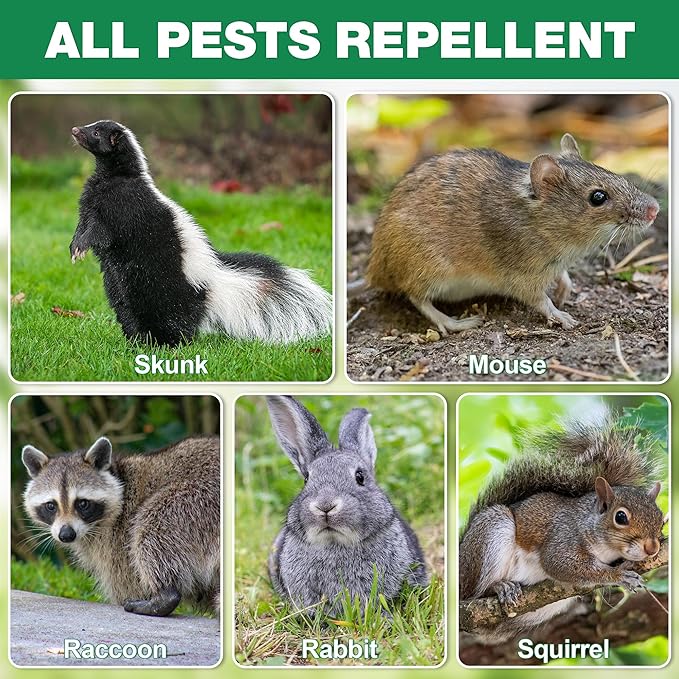 24 Pcs Skunk & Mouse Repellent Outdoor, Natural Peppermint Rodent Deterrent for Mouse, Mice, Skunk, Raccoon, Keep Skunk Away from House, Motor Campers, Attic, Humans & Pets Safe