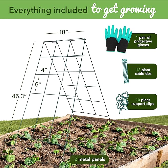 Cucumber Trellis - A Frame Trellis for Raised Bed Climbing Plants, Vegetables. Includes Plant Support Clips, Gardening Gloves, Cable Ties - Made from Galvanized Steel - Weather-Resistant