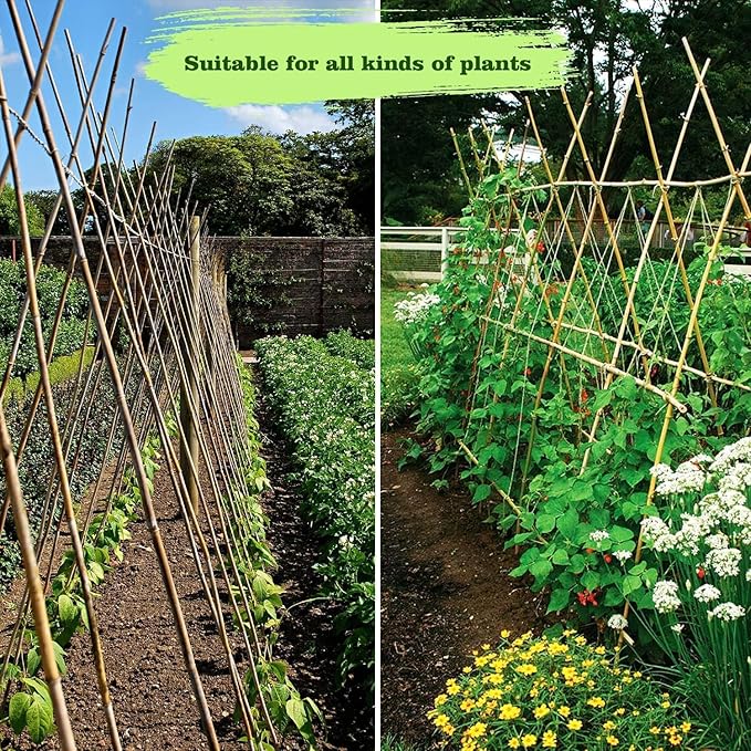 1" D 8 Feet Bamboo Stakes 50 Pack, Thicker Heavy-Duty Plant Stakes, Natural Garden Stakes for Bean, Tomato, Bean, Flowers,Trees Potted and Climbing Plant Support