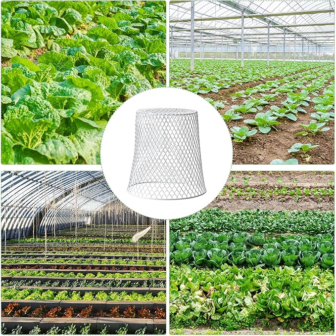 10 Pcs 8inch Chicken Wire Plant Covers Wire Garden Cloches Chicken Wire Cloche Plant Protector Metal Heavy Duty Garden Plant Cloche for Keeping Bunnies Chicken Squirrels Birds Other Out