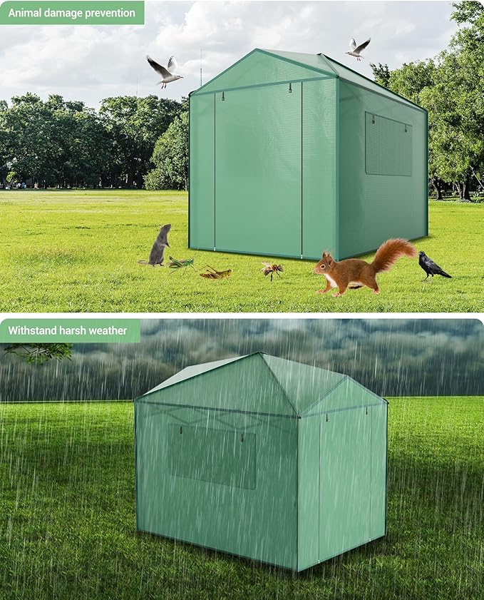 6X8 FT Portable Greenhouse for Outdoor,182 x 243 CM Wall in Pop Up Greenhouse for Gardening Plant, Zipper Roll Up Door & 4 Mesh Window, Double Frame, PE Cover Grow Tent for Winter, Green