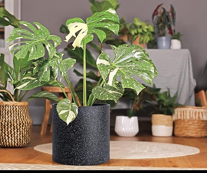 D'vine Dev 6.5 Inch 8 Inch 10 Inch, Set of 3 Plastic Planter Pots for Plants with Drainage Hole and Seamless Saucers, Speckled Black Color, Large, 74-V-F-4