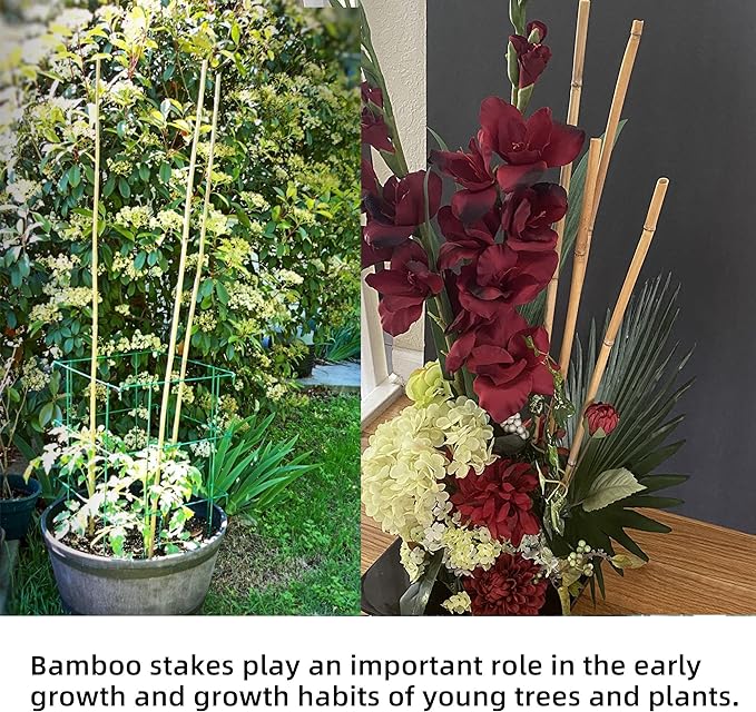 0.32”-0.4"/18Inch Garden Stakes, Natural Bamboo Sticks Plant Stakes for Indoor and Outdoor Plants,Poles for Tomatoes, Beans, Potted Plants(50Pcs)…