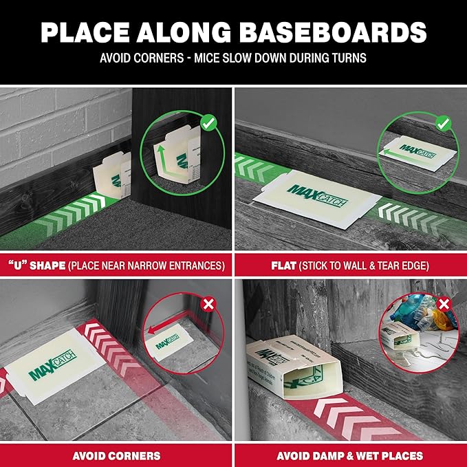 Catchmaster Max-Catch Mouse & Insect Glue Trap 72pk, Mouse Traps Indoor for Home, Sticky Pest Control Adhesive Tray for Catching Bugs, Non Toxic Bulk Pre-Baited Glue Boards
