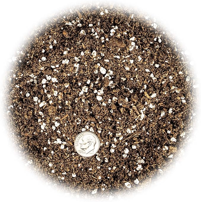 Premium Organic Potting Soil, Succulent & Cactus Soil Mix, Fast Draining Pre-Mixed Blend - Horticultural Perlite (25%) + Peat Moss (75%) - Made in USA - 1 Quart