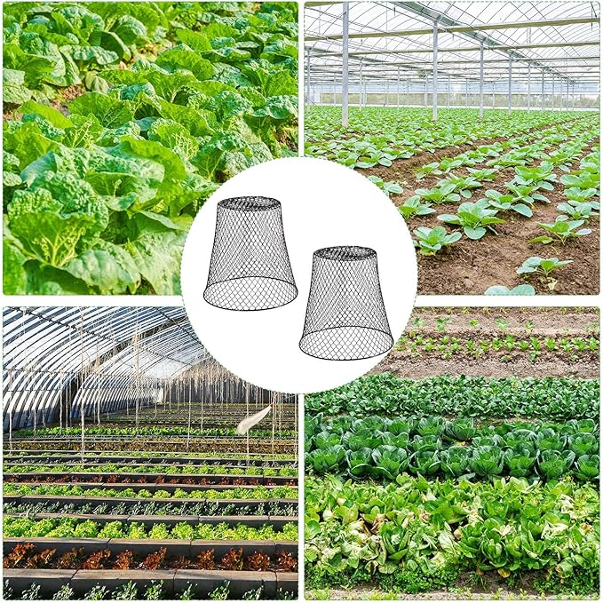 10 Pcs 11inch Chicken Wire Plant Covers,Green Wire Garden Cloches Chicken Wire Cloche Plant Protector Metal Heavy Duty Garden Plant Cloche for Keeping Bunnies Chicken Squirrels Birds Other Out