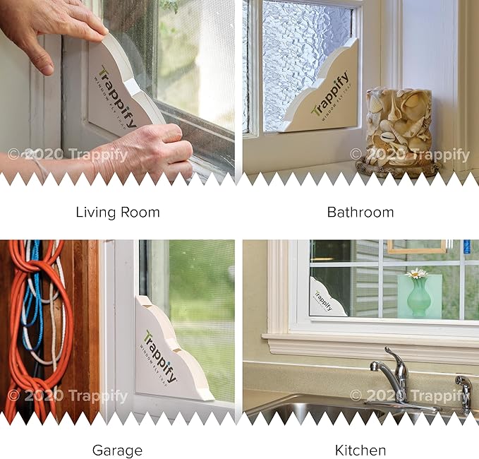 Trappify Fly Trap Indoor: Window Fly Traps for Home | Fruit Fly Traps for Indoors, Gnat Traps for House Indoor | Disposable Fly Trap with Sticky Adhesive Strips | Inside Bug Catchers (4 Pack)
