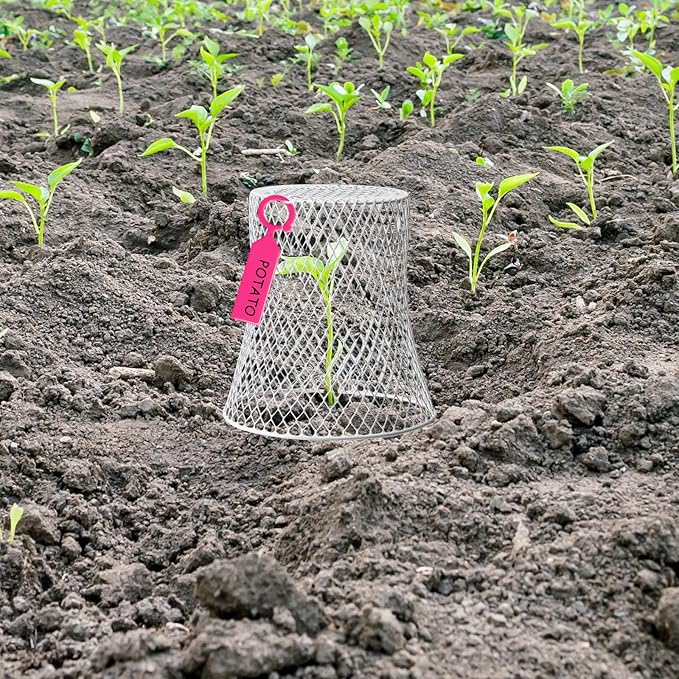 40 Pcs 8 inch Chicken Wire Plant Covers,Wire Garden Cloches Chicken Wire Cloche Plant Protector Metal Heavy Duty Garden Plant Cloche for Keeping Bunnies Chicken Squirrels Birds Other Out