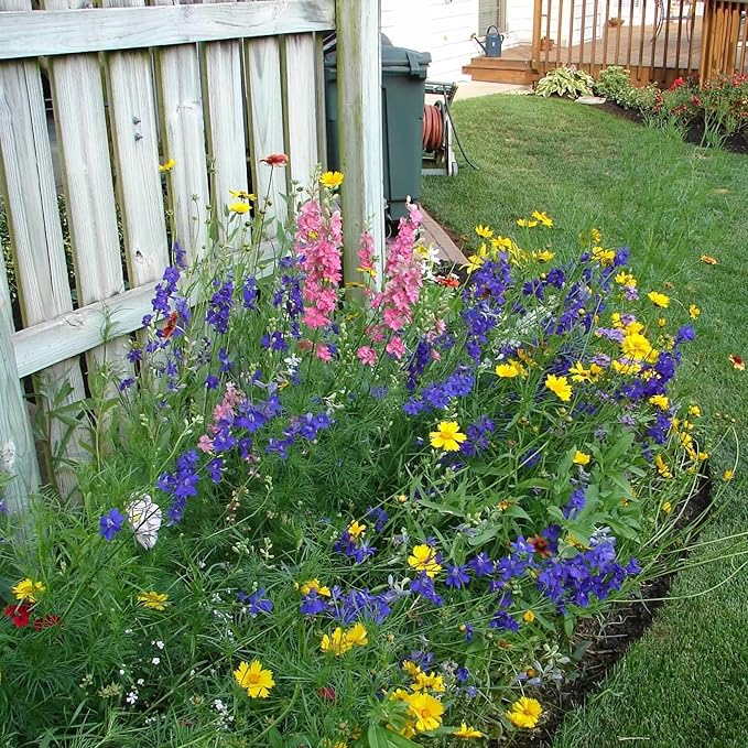 Created By Nature Alaska Wildflower Seed Mix, 15 Flower Varieties, 53,000 Seeds