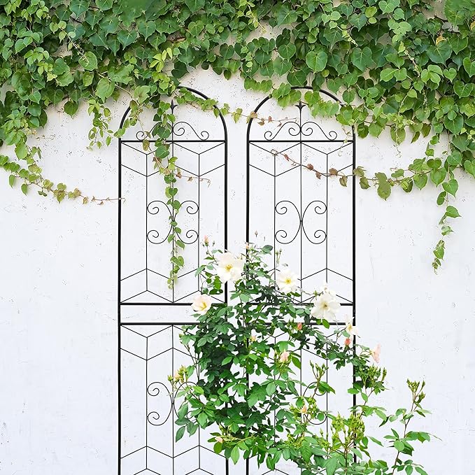 2 Pack 87x20in Garden Trellises with Black Metal Coating, Trellis for Climbing Plants Outdoor, Roses, Vines, Flowers, and Vegetables.