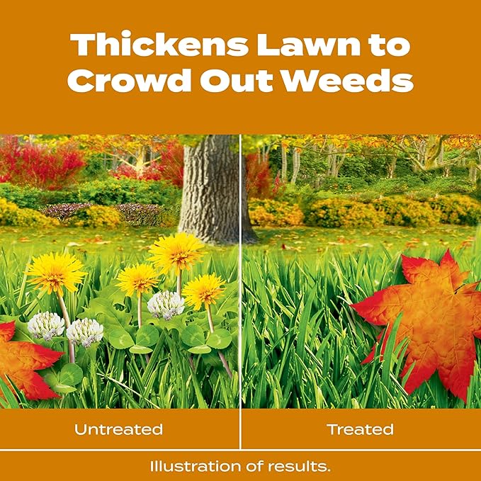 Scotts Turf Builder WinterGuard Fall Weed & Feed5, Weed Killer Plus Fall Fertilizer, 12,000 sq. ft., 33.84 lbs.