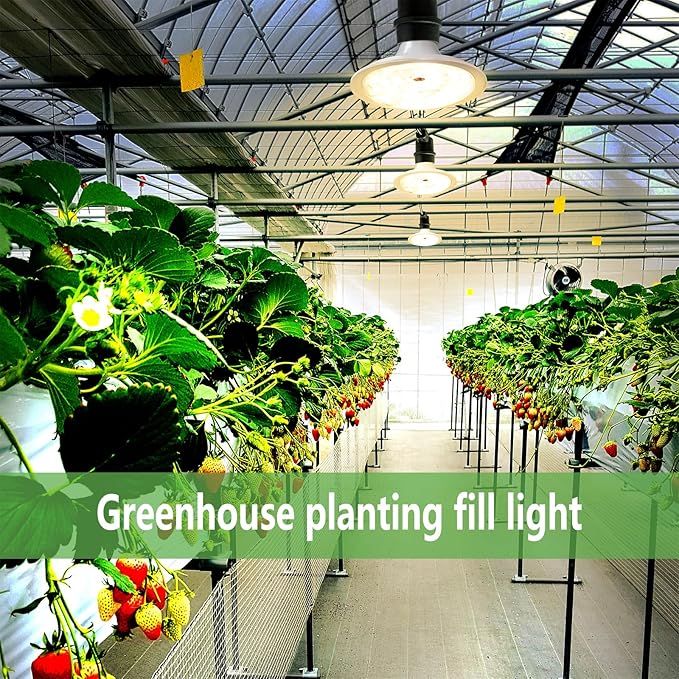 Outdoor LED Grow Lights, Waterproof String Grow Light, Full Spectrum Plant Growing Lights Greenhouse 44Ft Adjustable Cord 12 Lights