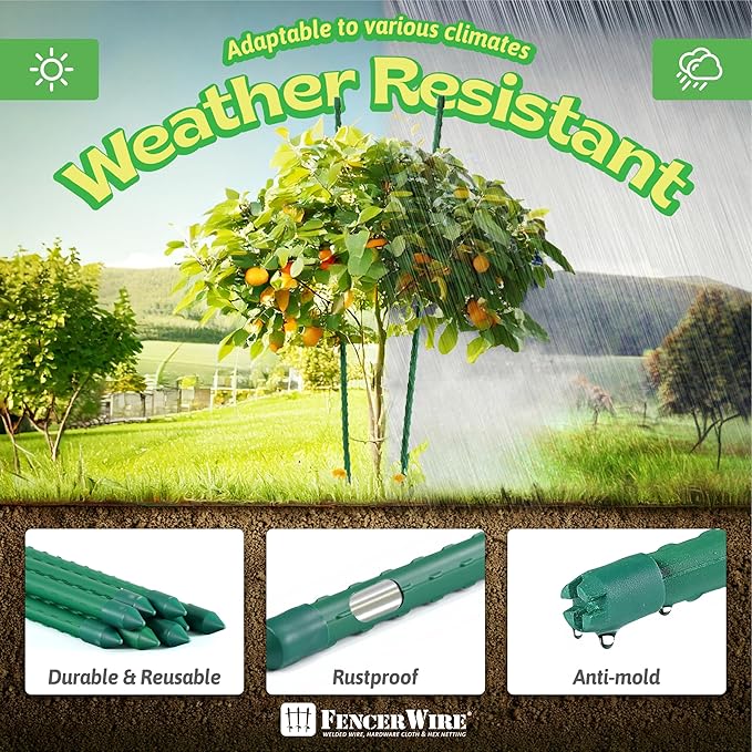 Fencer Wire 25 Pack of 6ft / 72 Inch Durable Metal Plant Supports Garden Stakes, Plant Stakes, Garden Poles for Outdoor & Indoor, Plant Support and Sticks for Tomato, Potted Plants, Beans, Cucumbers
