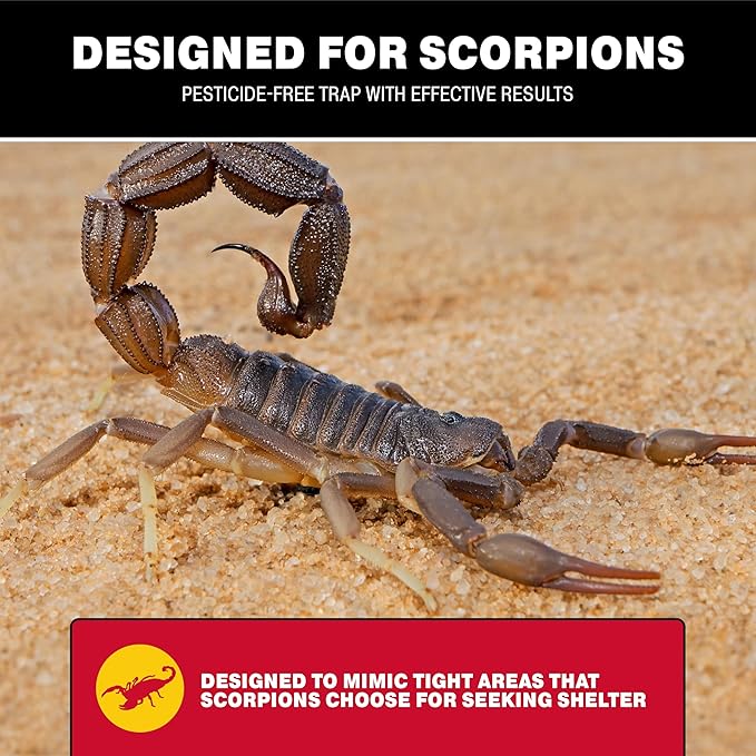 Catchmaster Scorpion Glue Tray Traps 6-Pack, Adhesive Scorpion Killer for Home, Simple Insect Traps Indoor, Sticky Bug Catcher for Kitchen, Garage, & Basement, Pest Control Glue Trap