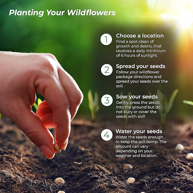 Created By Nature Alaska Wildflower Seed Mix, 15 Flower Varieties, 53,000 Seeds