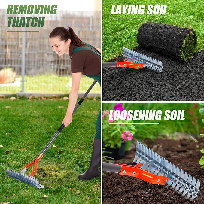 Walensee Thatch Rake, 15-Inch Lawn Thatching Rake, Robust Dethatcher Rake, Efficient Steel Metal Rake with Handle, Versatile Grass Grooming Rake for Cleaning Dead Grass, Yard Garden Durable Soil Rake