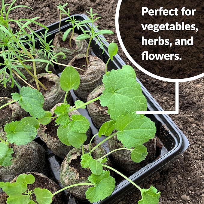 Jiffy Seed Starting Tray Kit, 36 Cell 36mm Peat Pellets with Bonus - 4 Pack, 144 Pellets Total