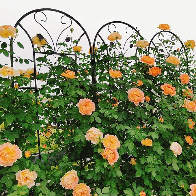 Garden Trellises, 4 Pack Black Metal Coated Rustproof Trellis for Climbing Plants Outdoor, Roses, Vines, Flowers, and Vegetables-86.7" x 19.7"