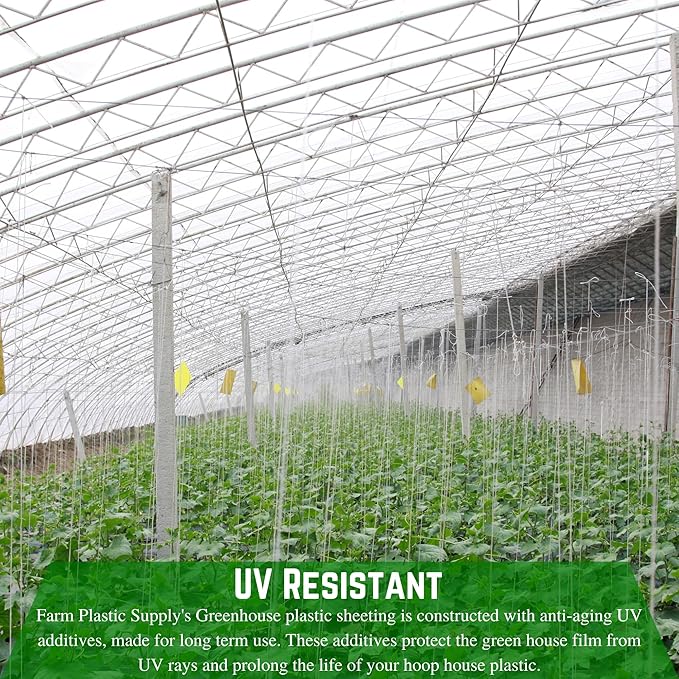 Farm Plastic Supply - String Reinforced 4 Year UV Resistant 10 mil Clear Greenhouse Plastic Sheeting - 4 Year UV Resistant Polyethylene Greenhouse Film, Hoop House Green House Cover (24' x 75')