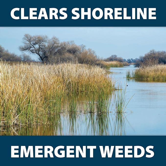 Airmax Shoreline Defense Emergent Weed Control Concentrated Treatment, Aquatic Herbicide (Glyphosate) for Phragmites, Pond Grass & Cattails, 1 Gallon